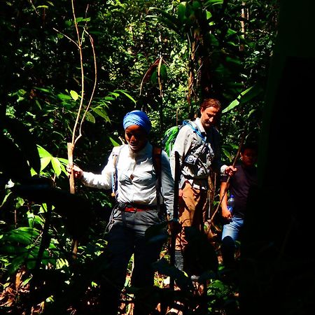 Amazon Acai Lodge Leticia Exteriér fotografie