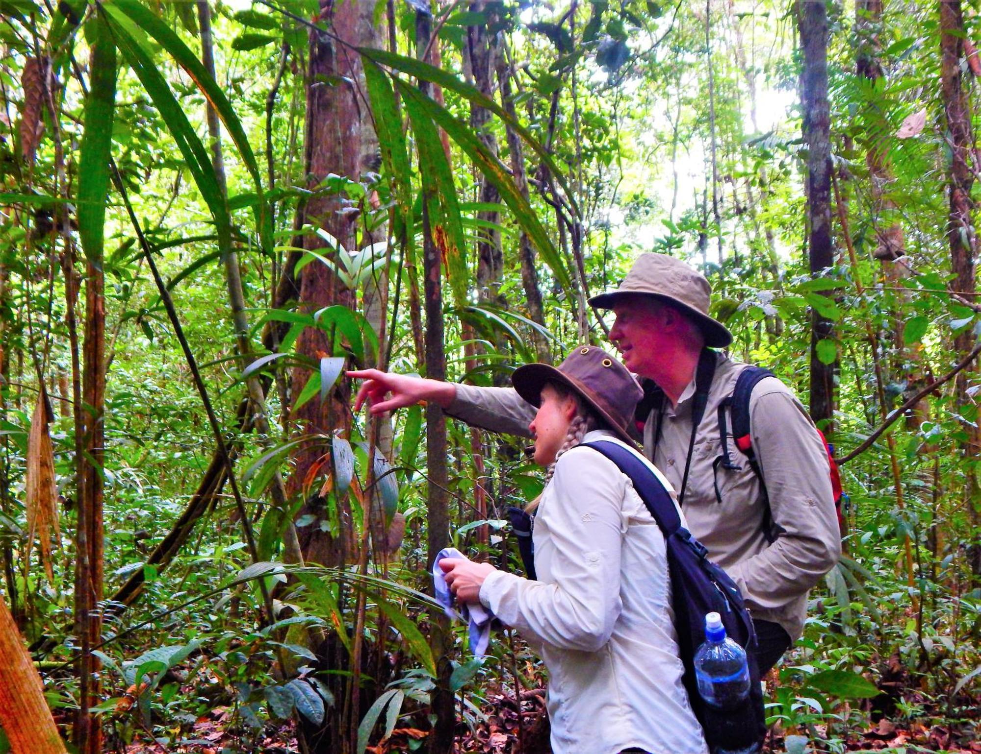 Amazon Acai Lodge Leticia Exteriér fotografie