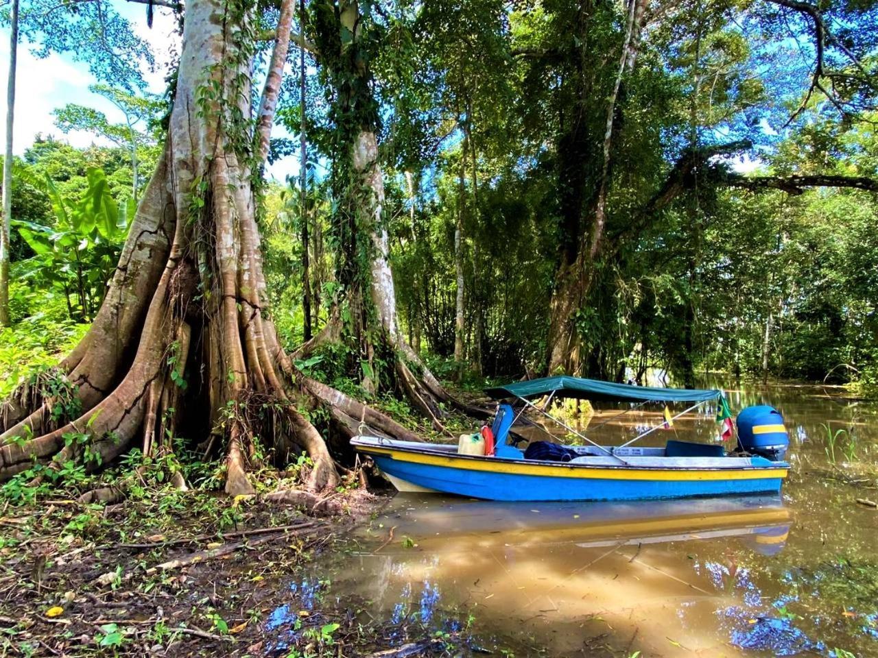 Amazon Acai Lodge Leticia Exteriér fotografie