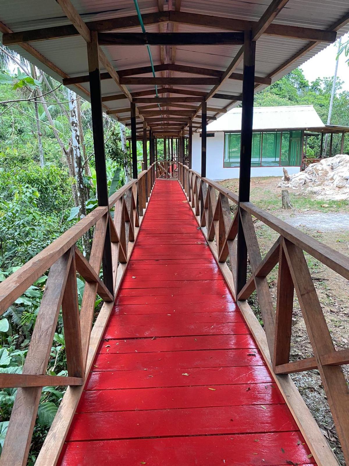 Amazon Acai Lodge Leticia Exteriér fotografie