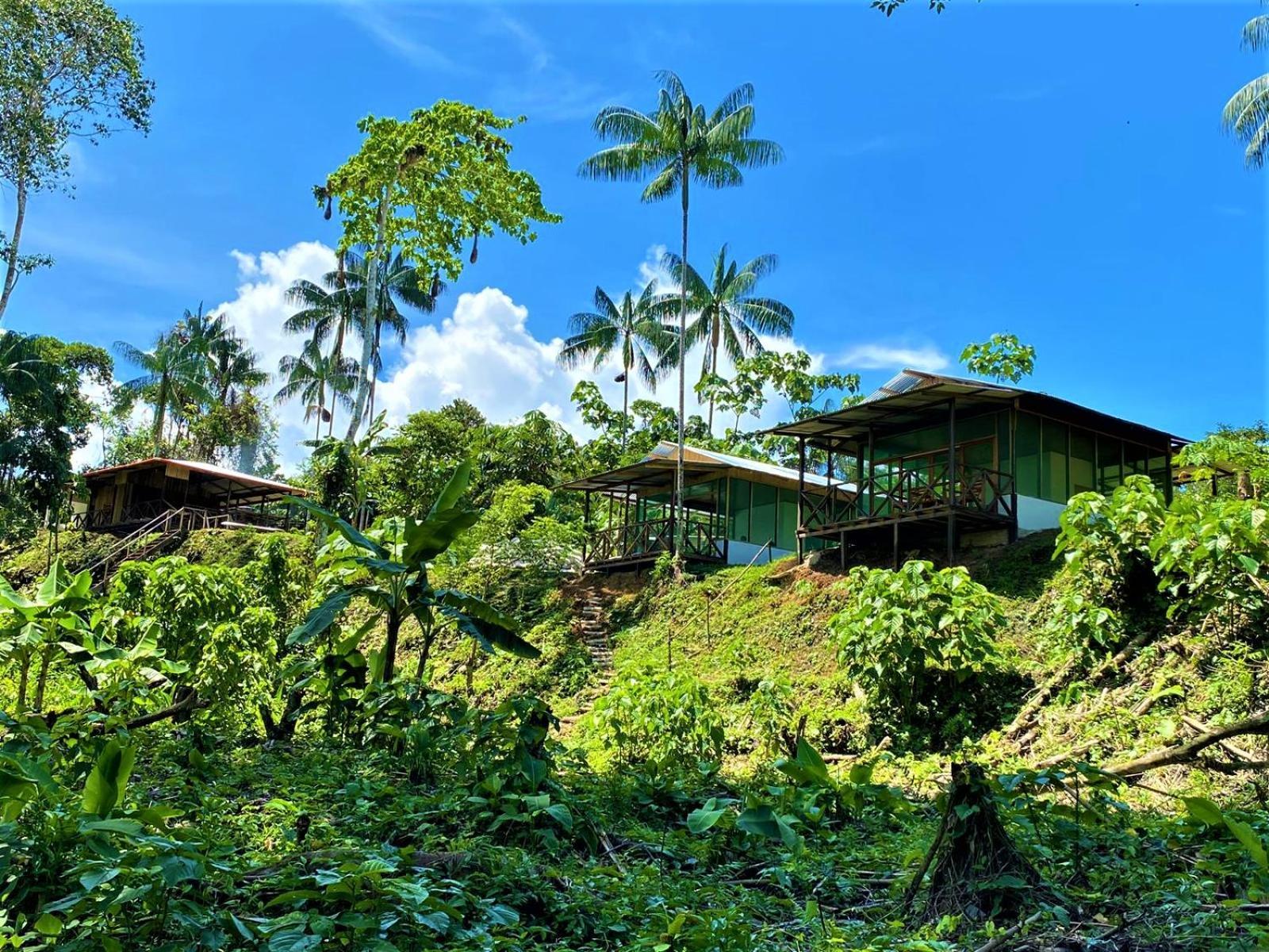 Amazon Acai Lodge Leticia Exteriér fotografie